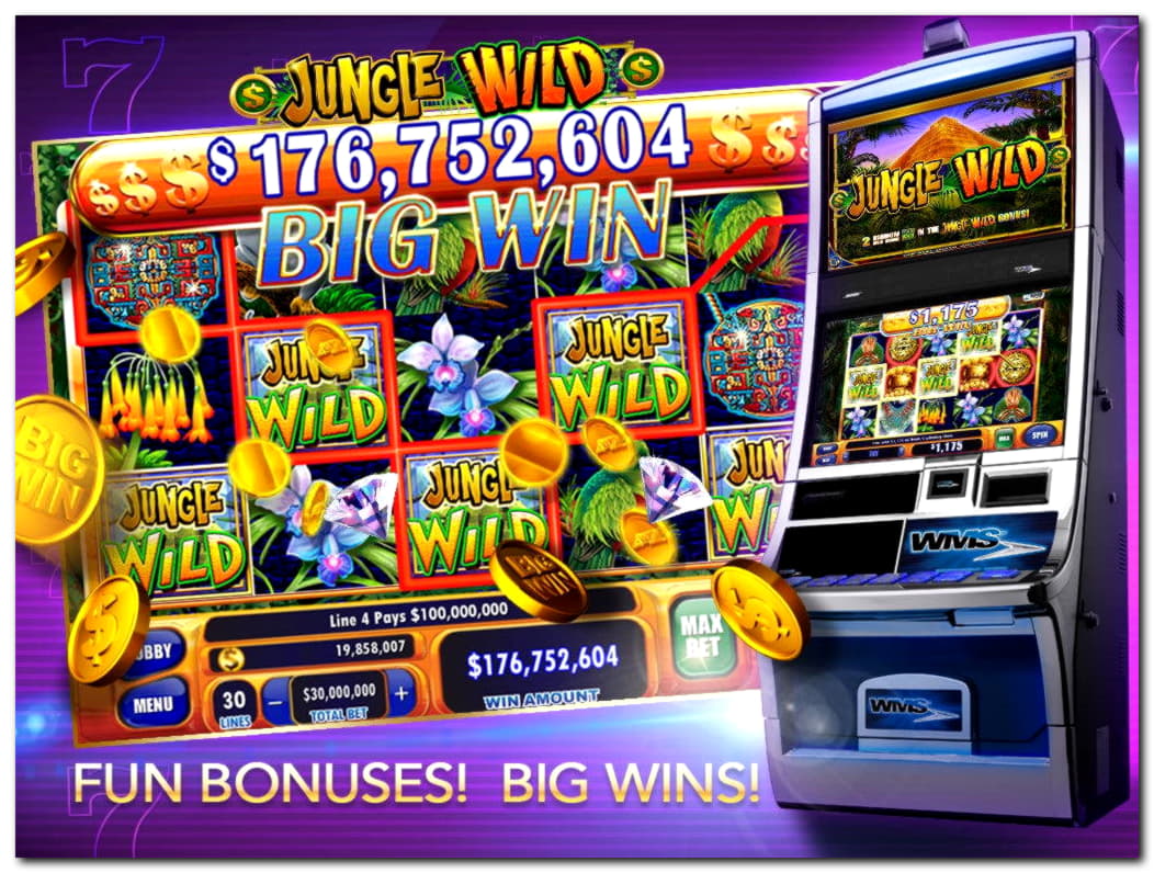 €865 Daily freeroll slot tournament at BranGo Casino