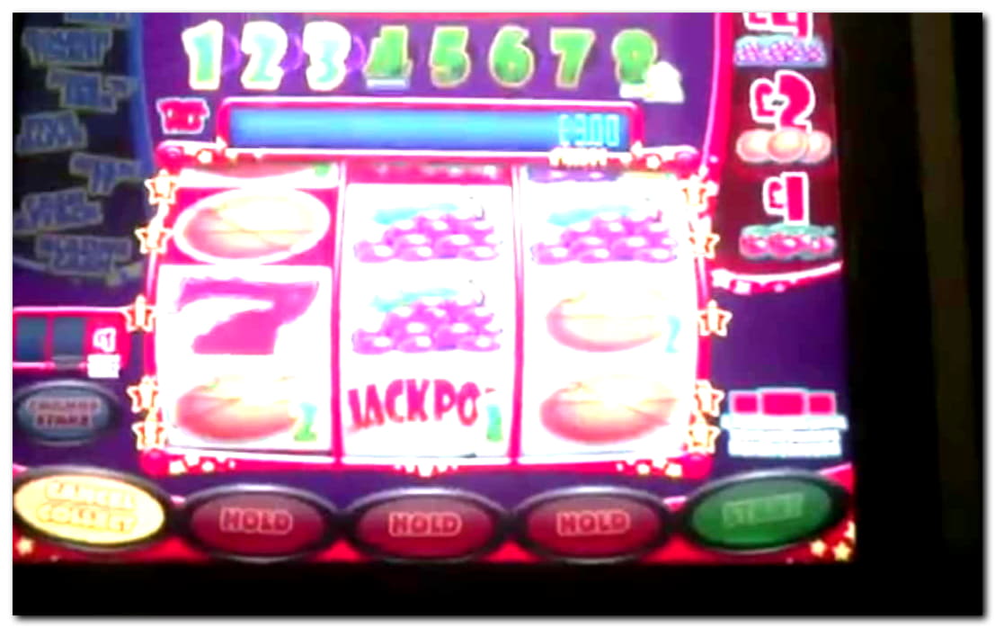 90 Loyalty Free Spins! at Royal Panda Casino