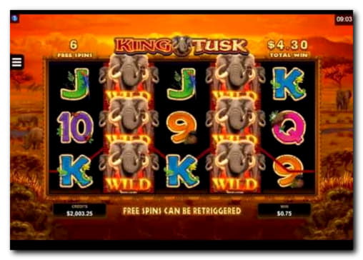 EURO 145 Casino tournaments freeroll at Casino Share