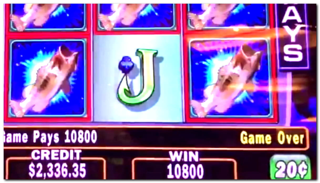 ﻿$545 Daily freeroll slot tournament at Casino Share