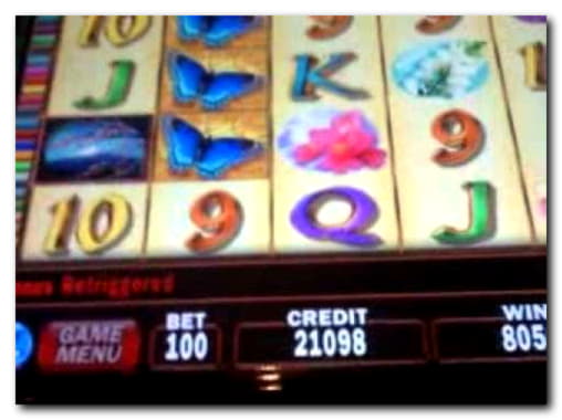 20 Free spins no deposit casino at Mobile Bet Casino
