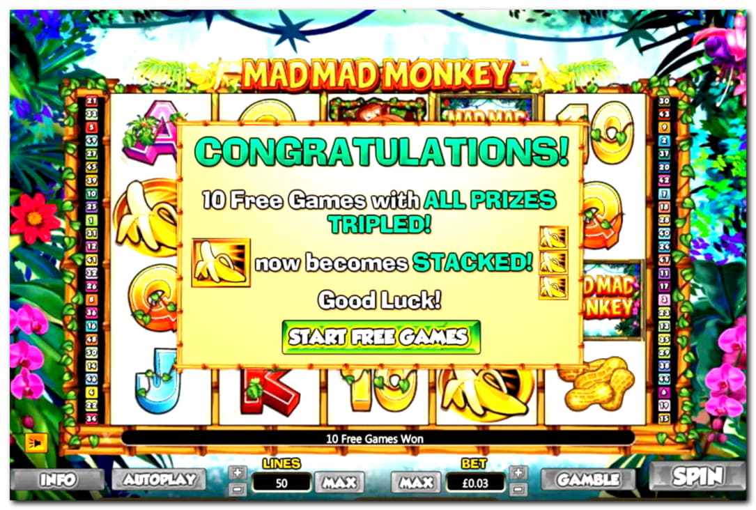 250 Loyal Free Spins! at No Bonus Casino