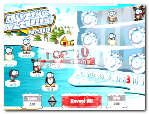 170% No Rules Bonus! at Casino Share