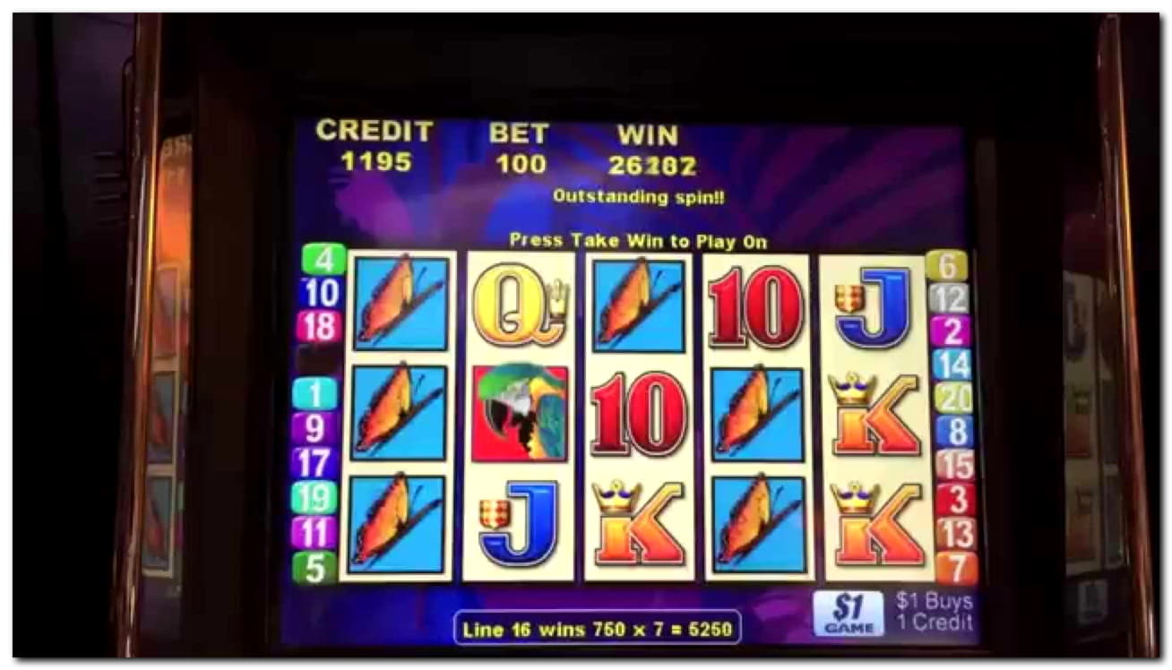 230 free spins casino at Genesis Casino