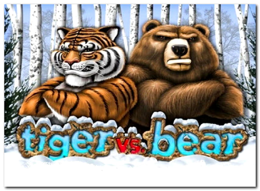 345% Match Bonus Casino at No Bonus Casino