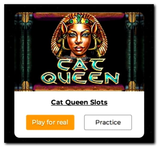 $340 Daily freeroll slot tournament at BranGo Casino