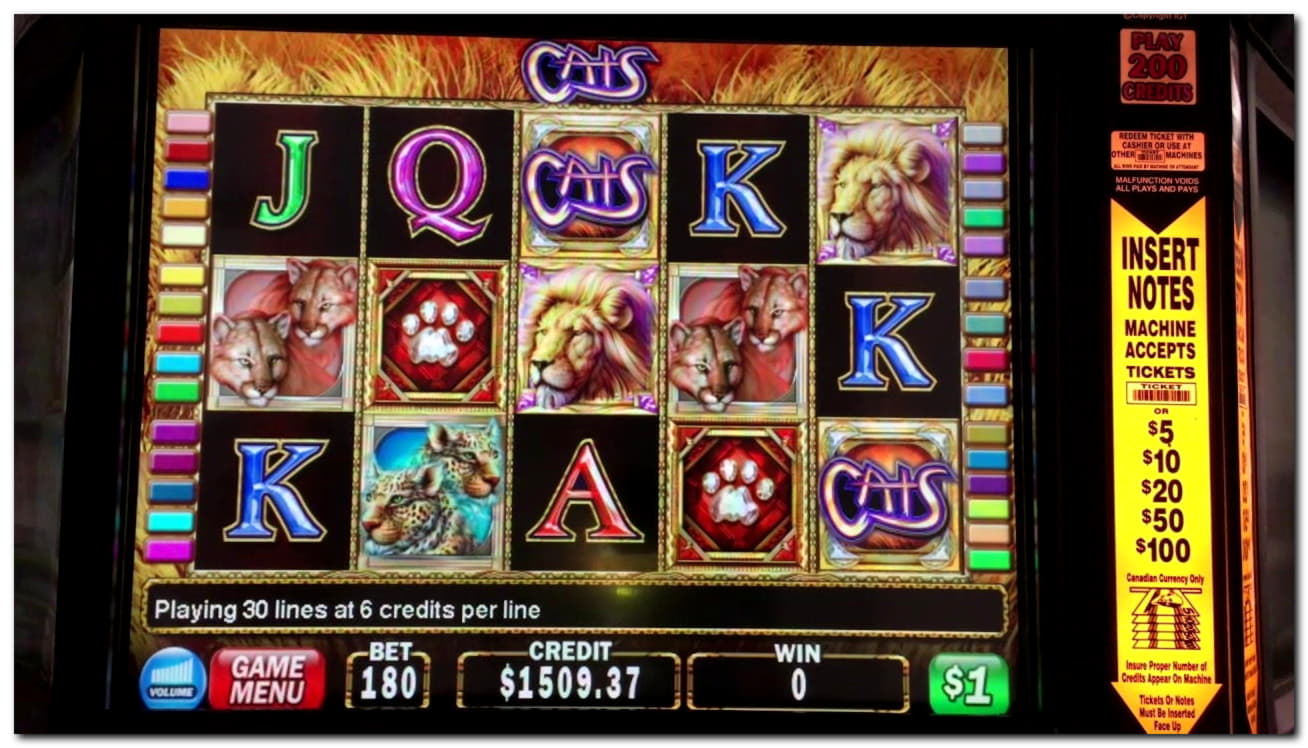 245 FREE SPINS at No Bonus Casino