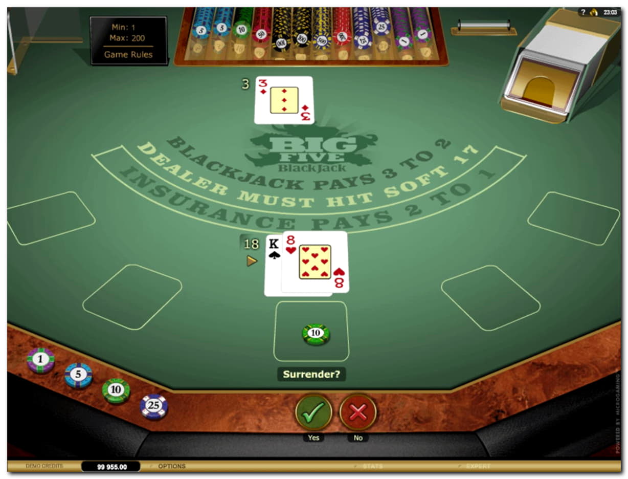 ﻿$335 Daily freeroll slot tournament at No Bonus Casino