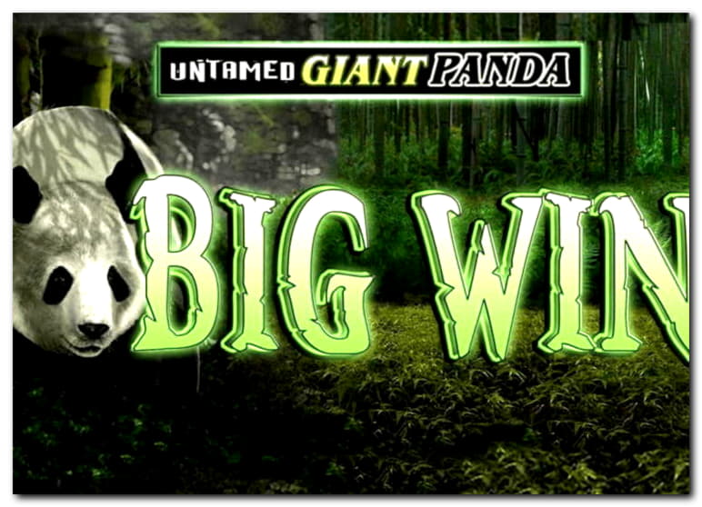 920% Signup casino bonus at bWin Casino