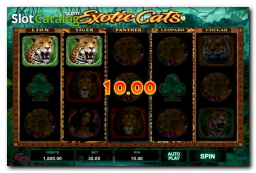 140 Free spins no deposit casino at Power Spins Casino