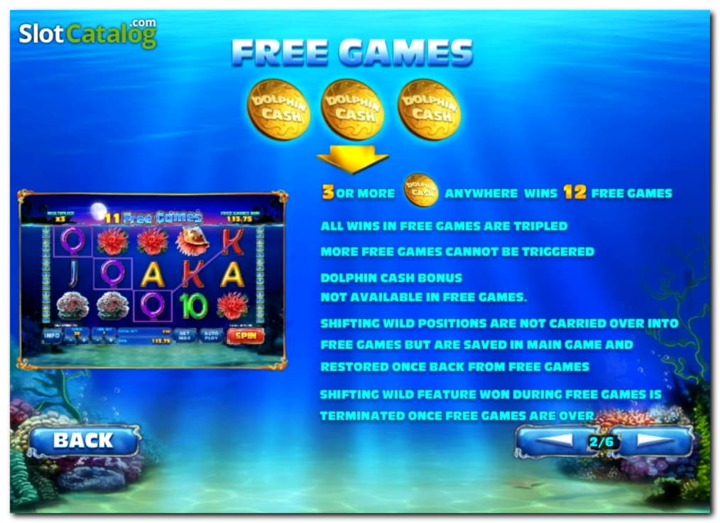 $280 Daily freeroll slot tournament at Casino Cruise