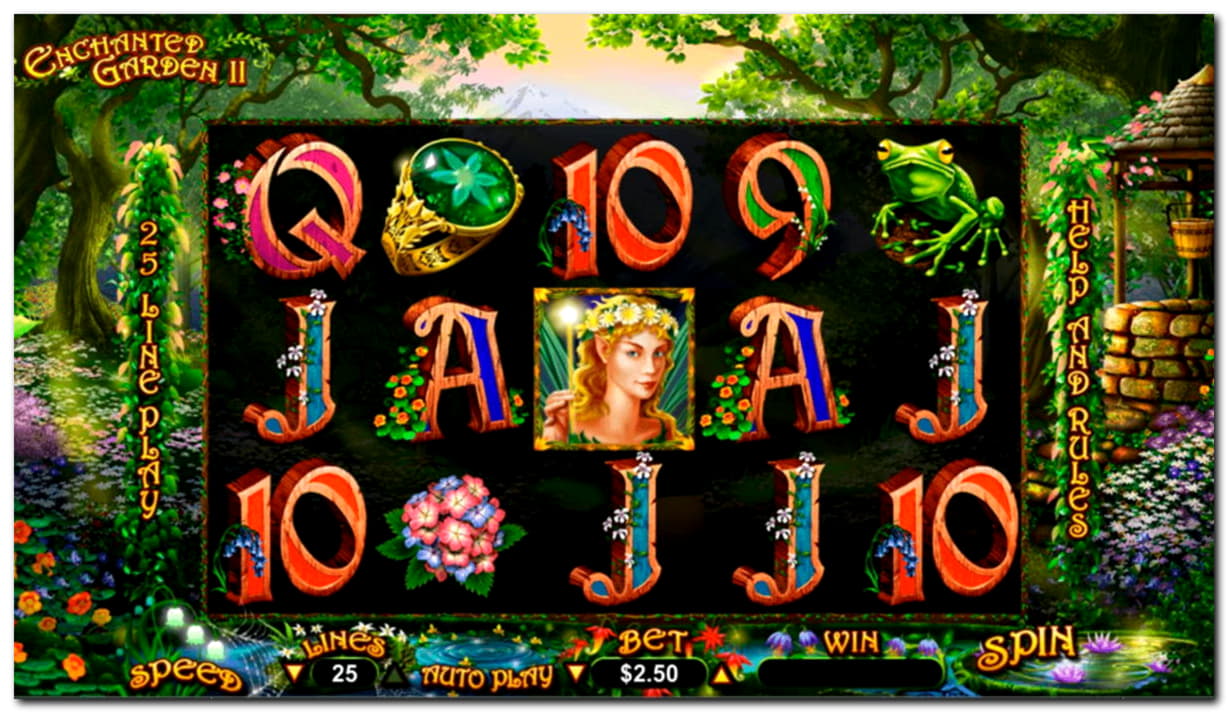 70 free spins at Dafa Bet Casino