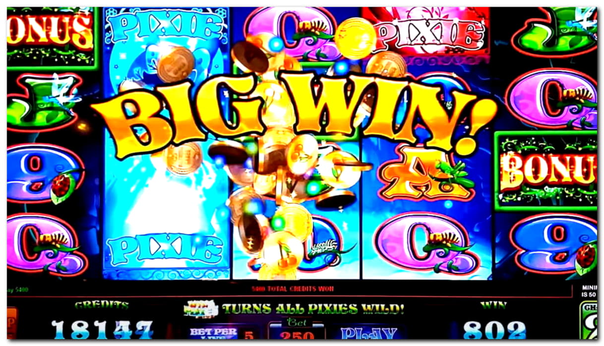 875% Match Bonus at Casino Cruise
