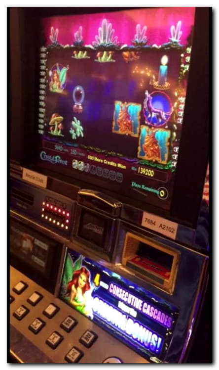 795% Match bonus casino at Golden Star Casino