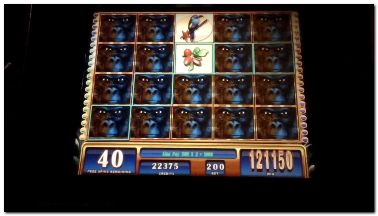 $435 FREE CHIP at BranGo Casino