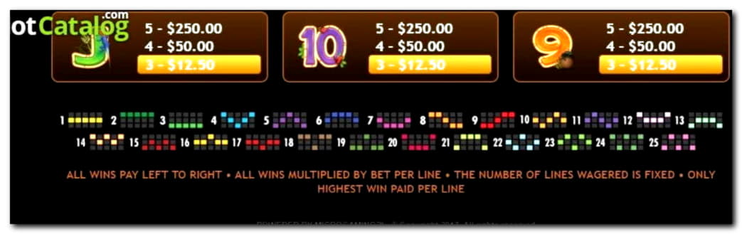 Eur 780 Casino tournaments freeroll at Casino Action
