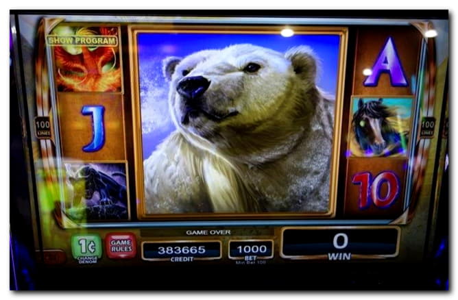 50 Free Spins no deposit at bWin Casino