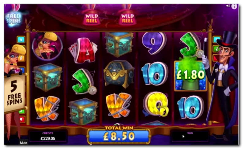 €365 Casino Chip at Superior Casino