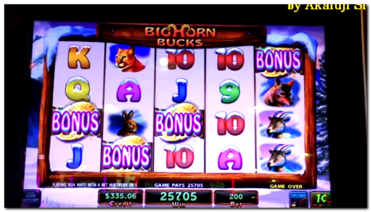 €2475 No Deposit Bonus at Miamidice Casino