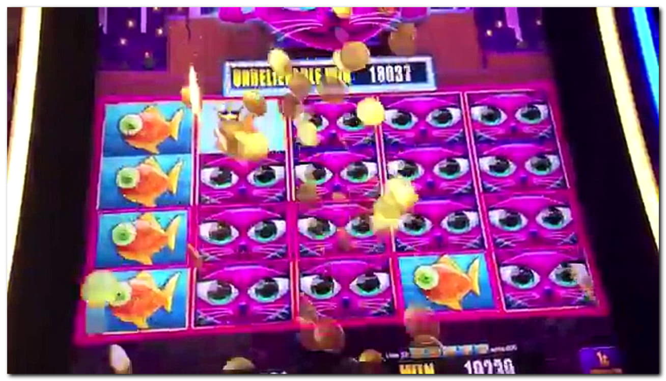 285 FREE Spins at Emu Casino