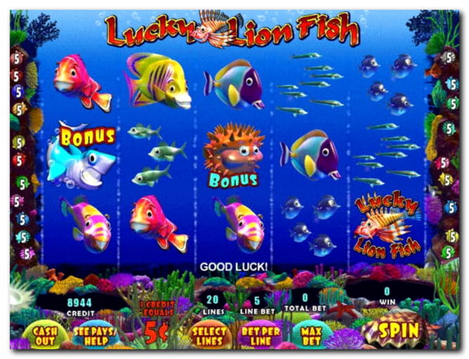 ﻿$3505 No Deposit at Miamidice Casino