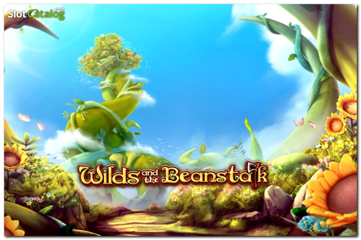 205 free spins casino at Zet Casino