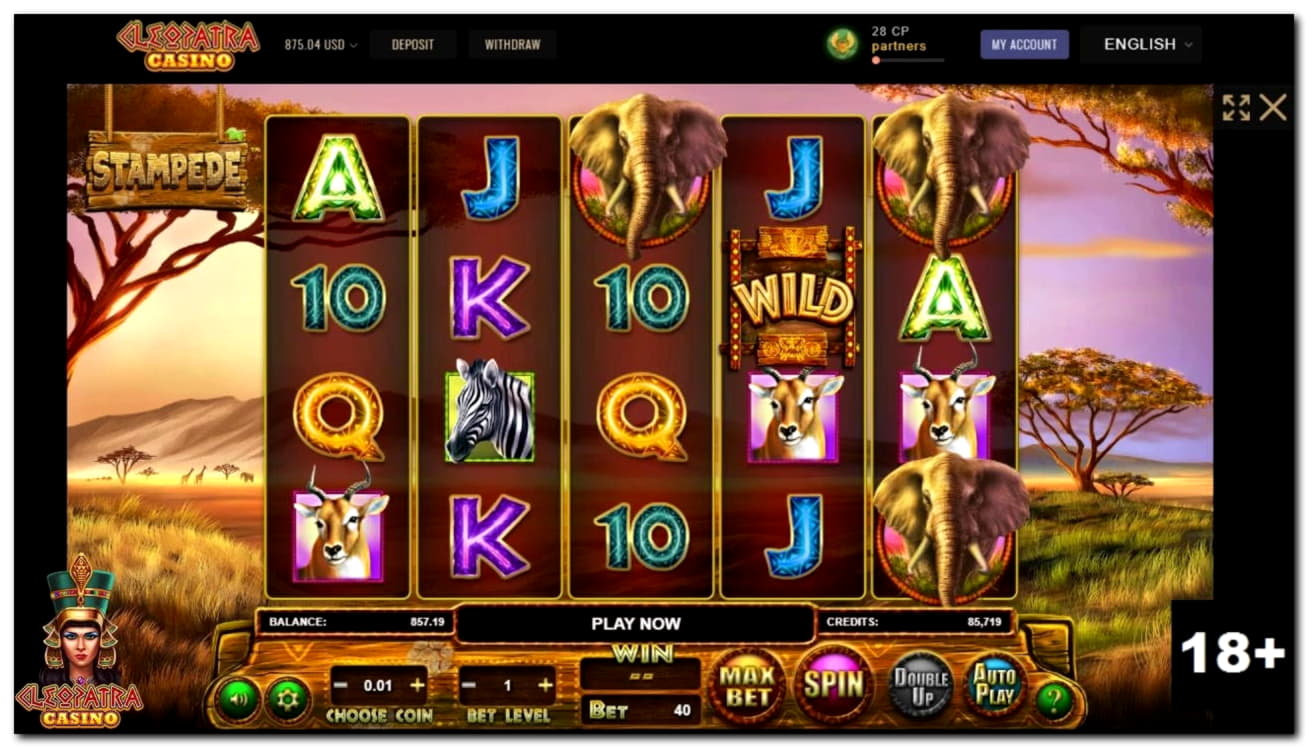 ﻿$320 Mobile freeroll slot tournament at Casino Share