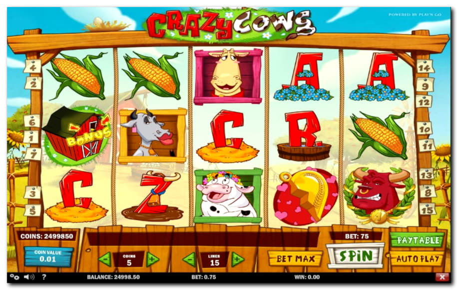 10 free spins casino at Dafa Bet Casino