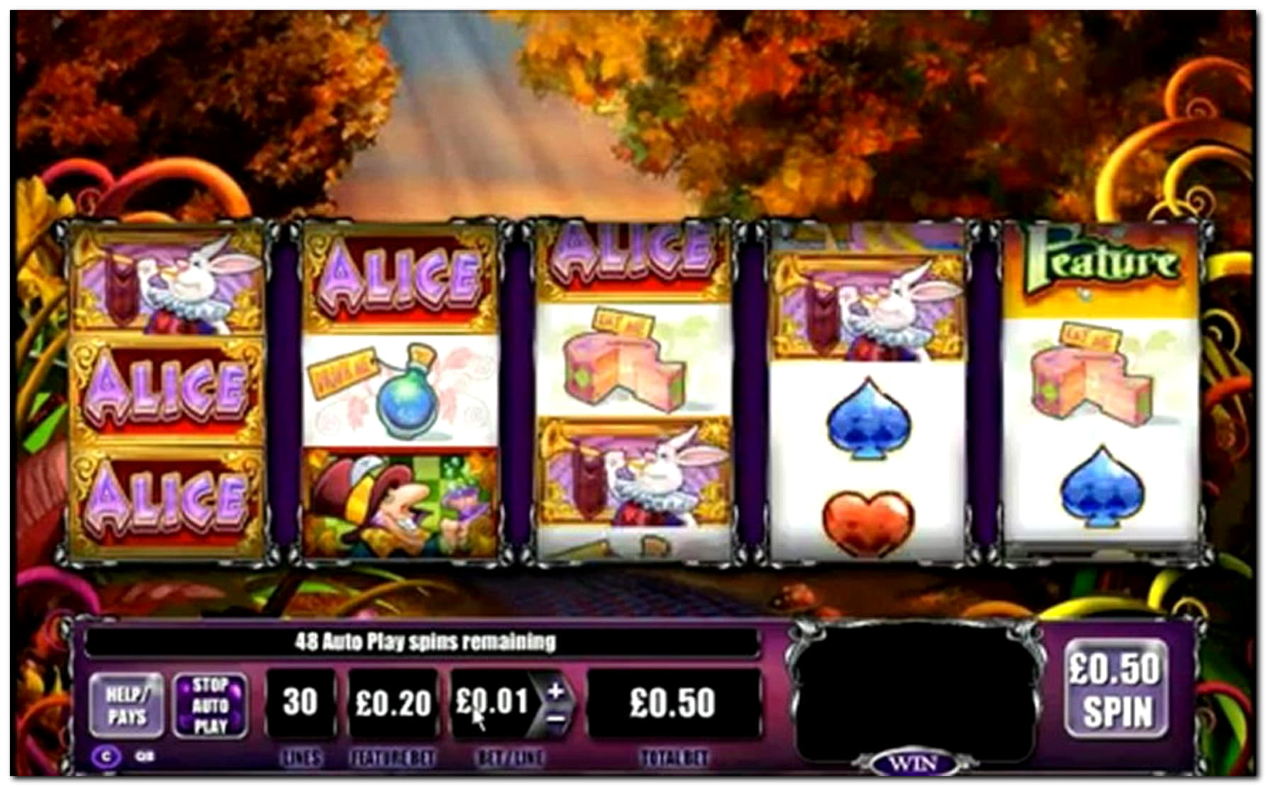 240 free spins at Casino com