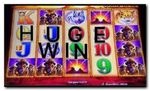 330% No Rules Bonus! at No Bonus Casino