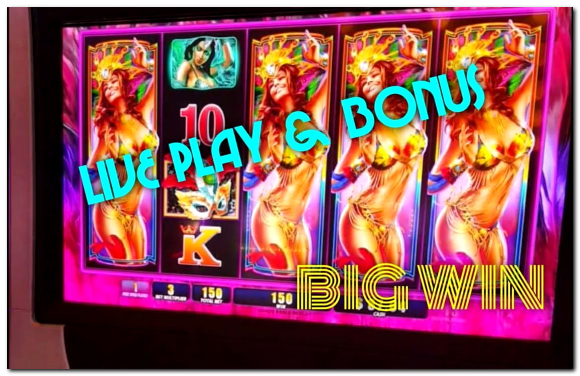 245 free spins no deposit casino at Red Stag Casino