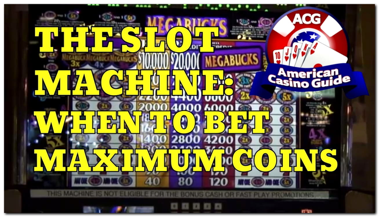 800% Casino Welcome Bonus at BranGo Casino