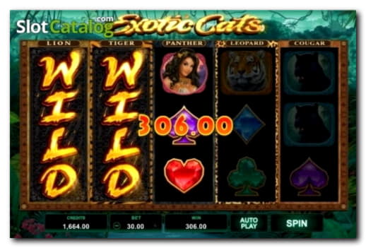 €55 FREE CHIP CASINO at Emu Casino