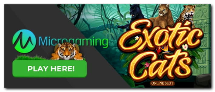 80 Free spins at Genesis Casino