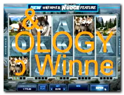 180 free spins casino at Superior Casino