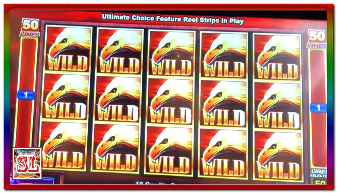 ﻿$700 Daily freeroll slot tournament at Dubai Casino Online