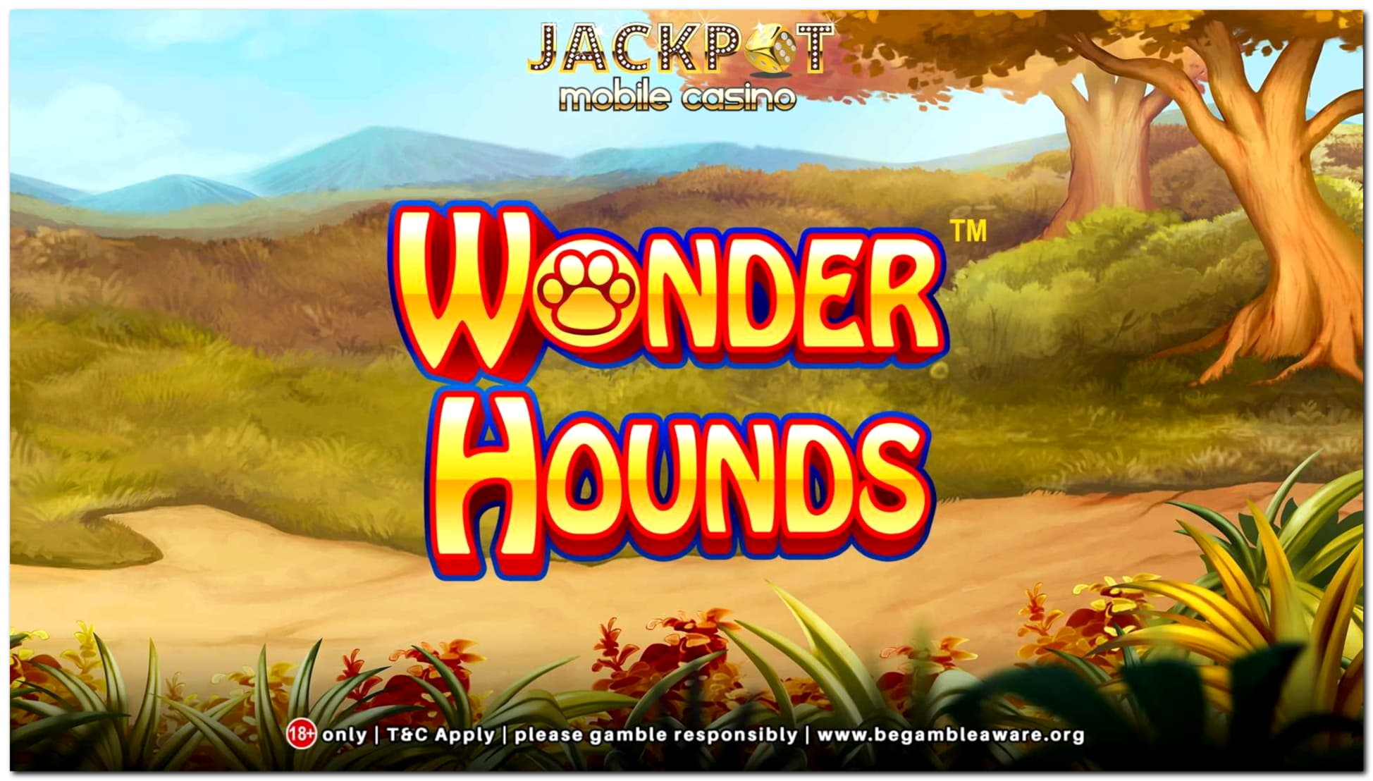 £600 free chip at Miamidice Casino