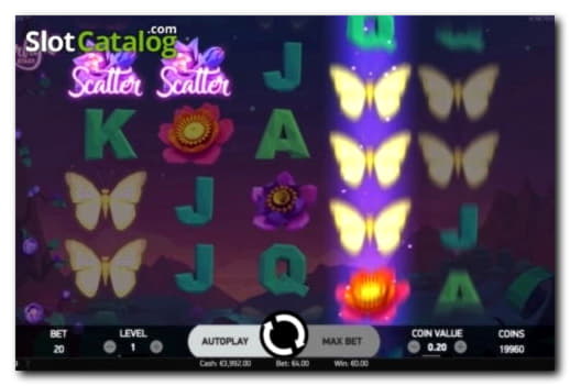 €50 Daily freeroll slot tournament at Win A Day Casino