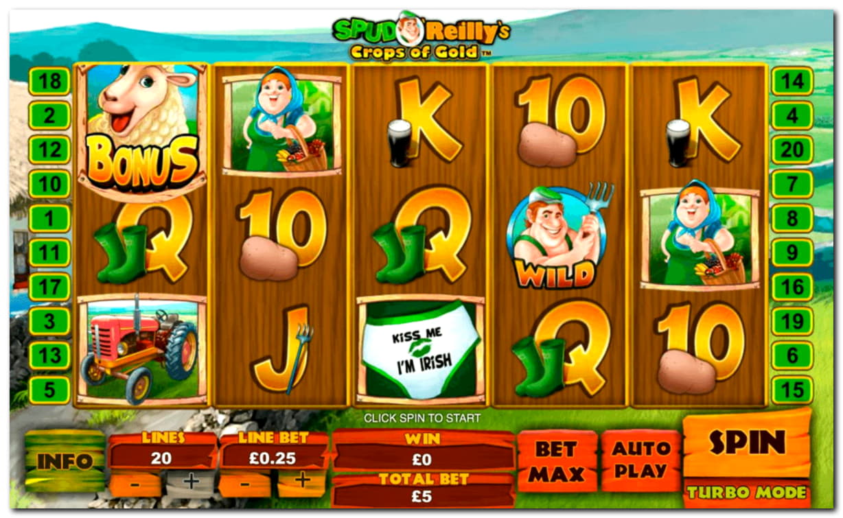 €180 Free Casino Tournament at Casino Cruise