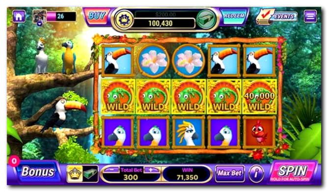 25 Free spins no deposit at No Bonus Casino
