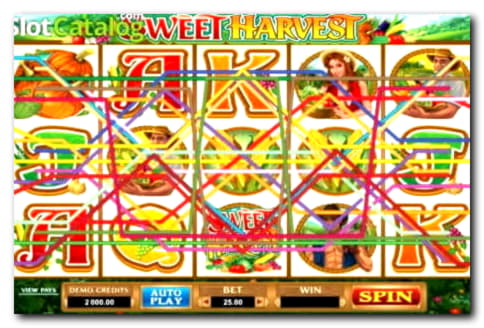 €66 Tournament at Dubai Casino Online