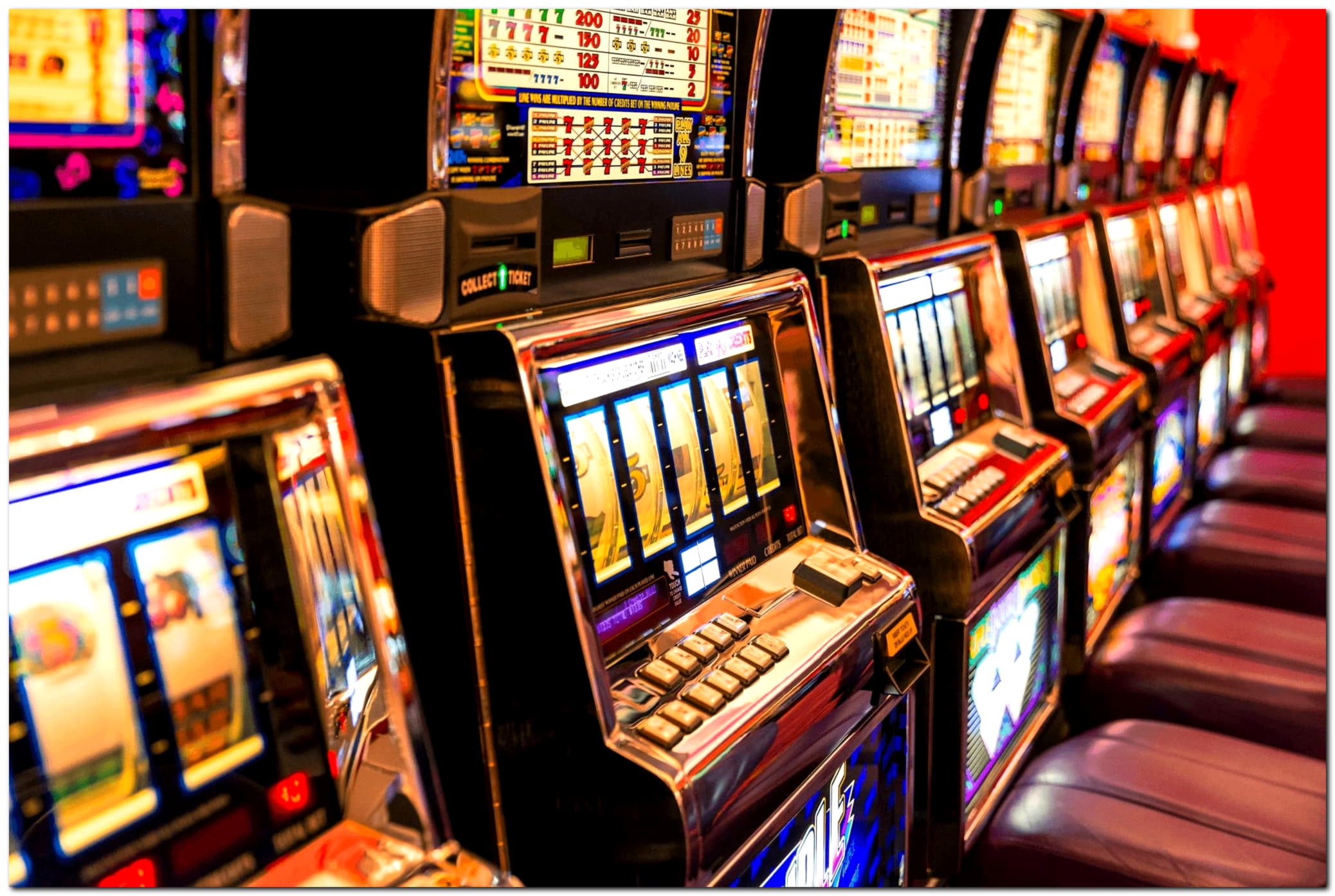 $60 Tournament at Dafa Bet Casino