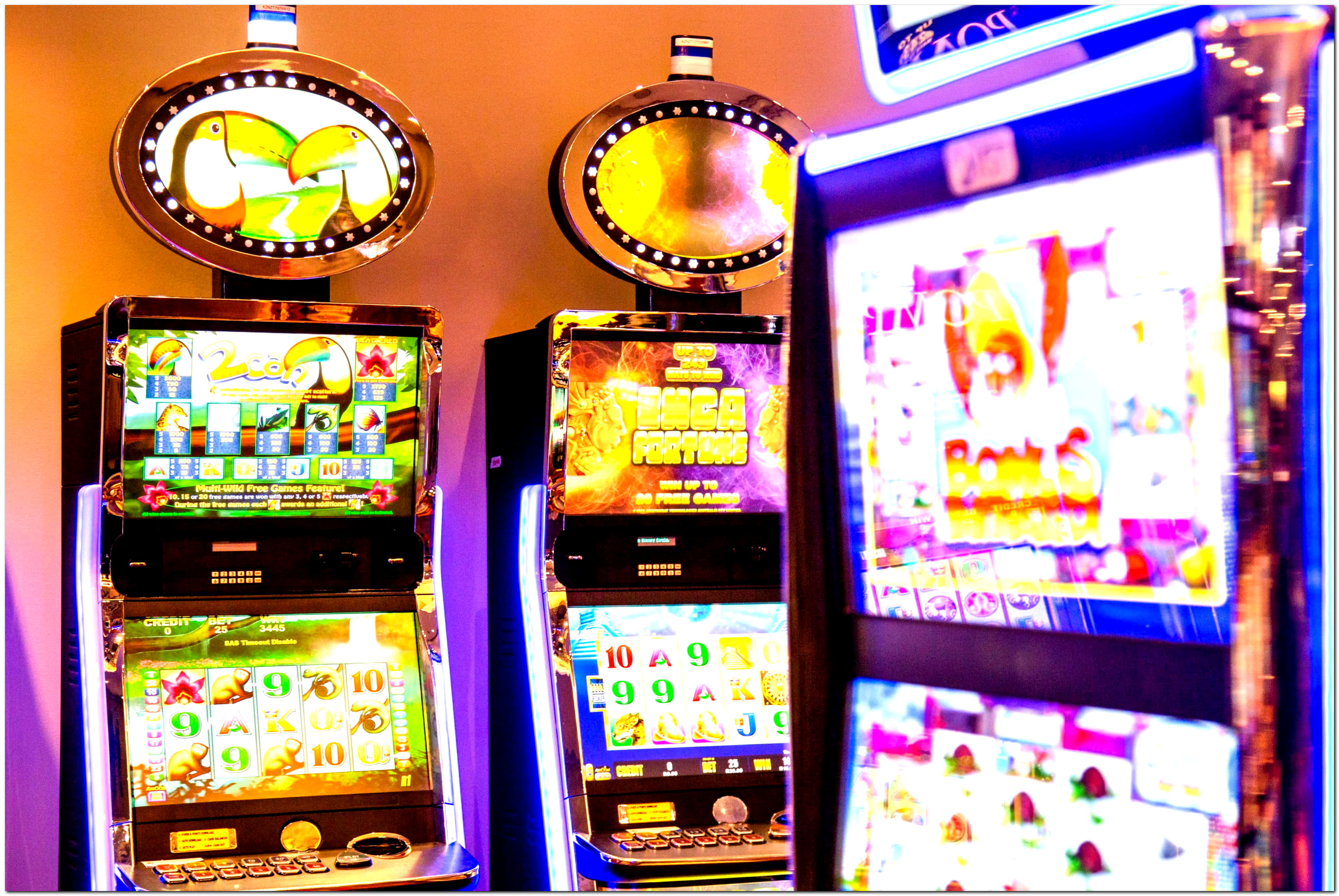 $585 Daily freeroll slot tournament at Casino Share