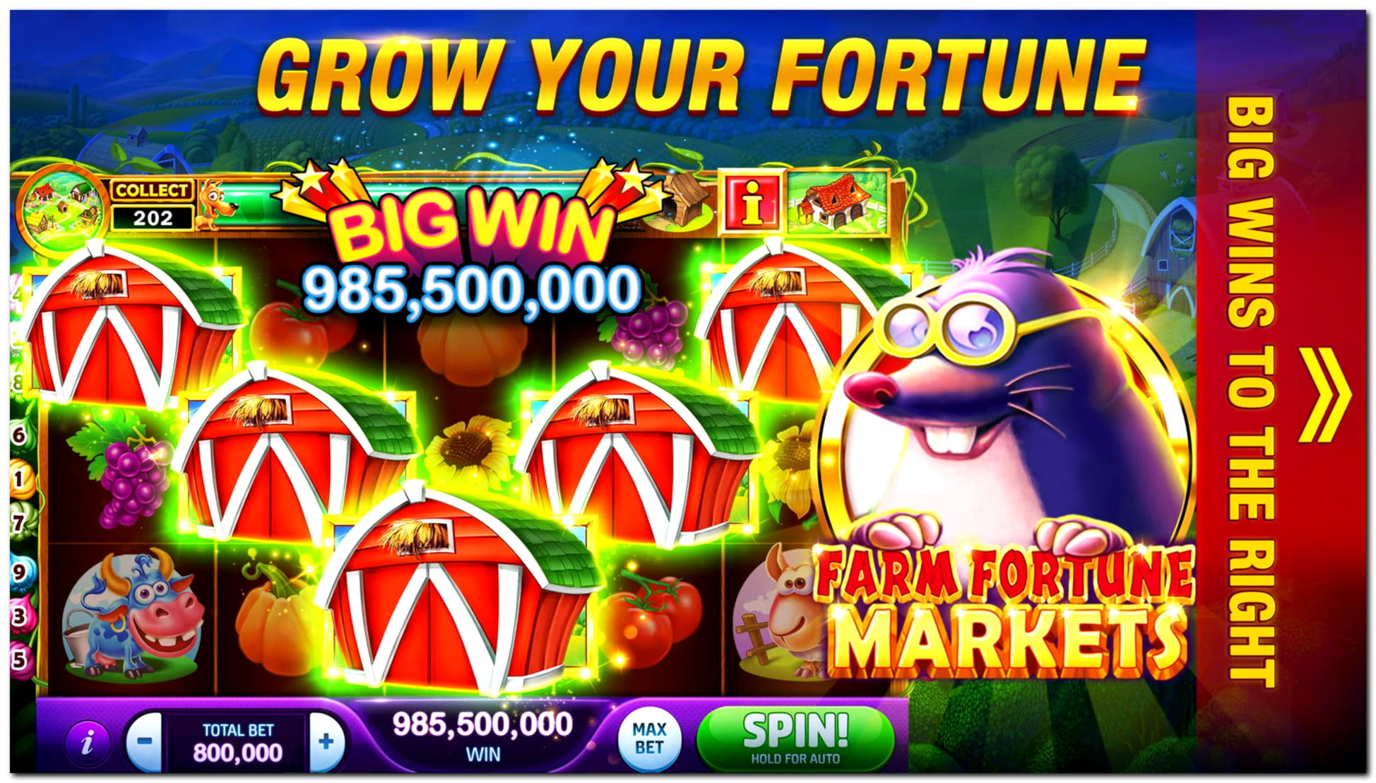 EURO 305 FREE CHIP at Golden Star Casino