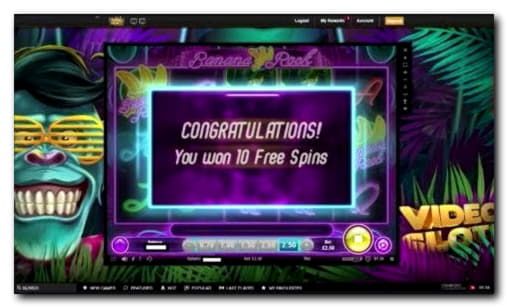 250 FREE SPINS at No Bonus Casino