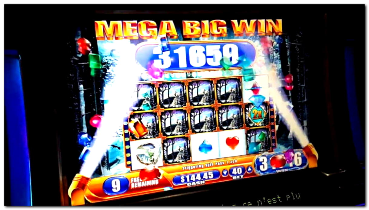 €520 Daily freeroll slot tournament at Red Stag Casino