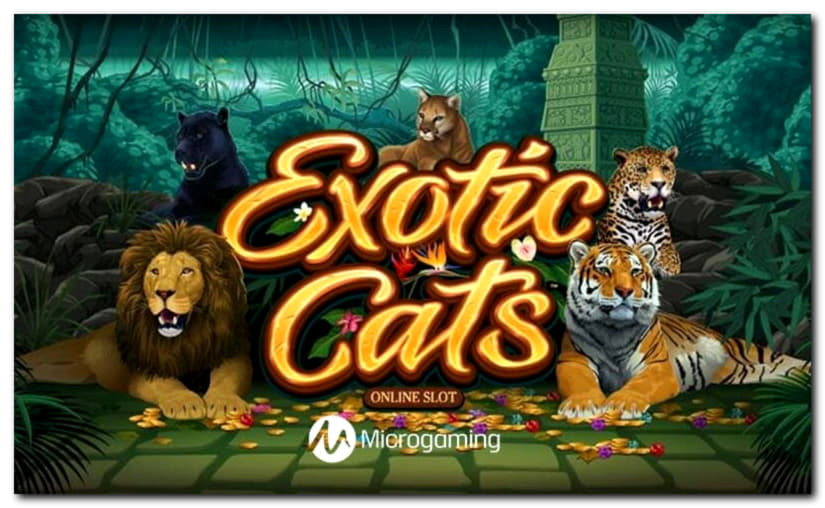 €80 Mobile freeroll slot tournament at Casino Share