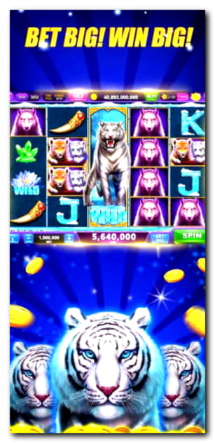 195 Free spins no deposit at Royal Panda Casino