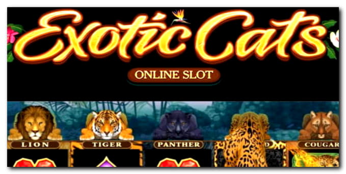 €595 FREE Chip Casino at Emu Casino