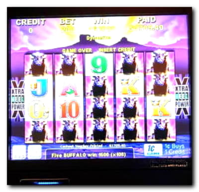 $10 Casino tournaments freeroll at Casino Action